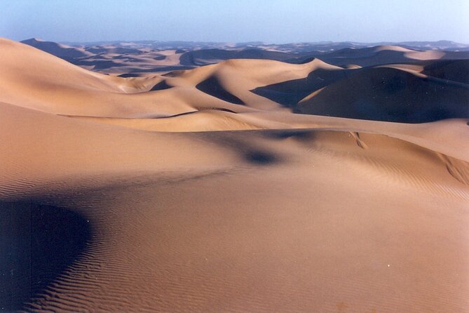 Full-Day Tour in Namib Desert From Swakopmund, Namibia - Whats Included