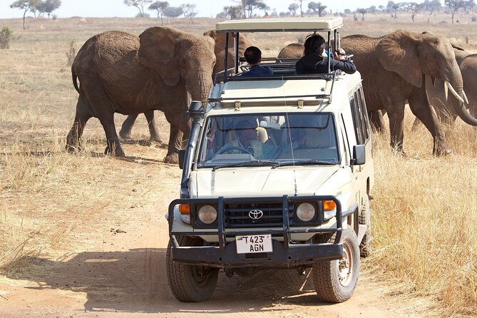 Full Day Tour in Ngorongoro Conservation Area Tanzania - Inclusions
