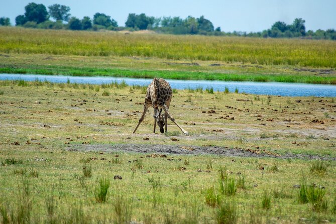 Full Day Tour to Chobe and Botswana From Victoria Falls - Important Reminders