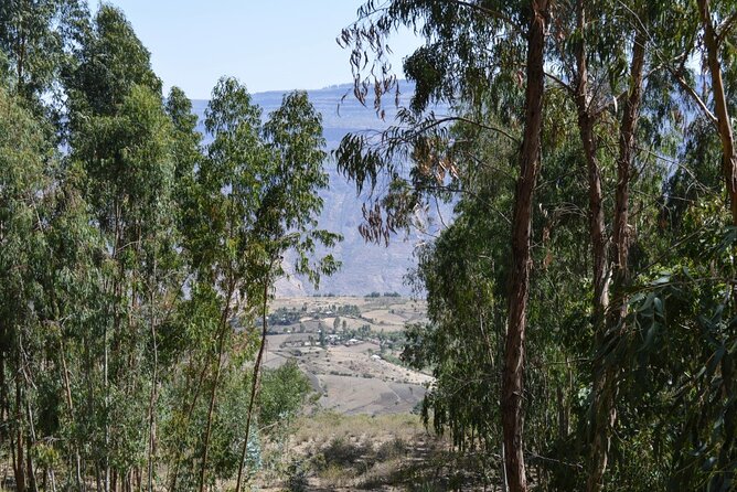 Full-Day Tour to Debre Libanos Monastery From Addis Ababa - Cancellation Policy