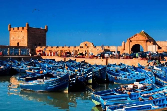 Best Full-Day Tours In Essaouira