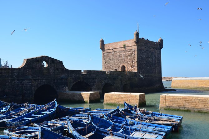 Full Day Trip To Essaouira From Marrakech - Trip Overview