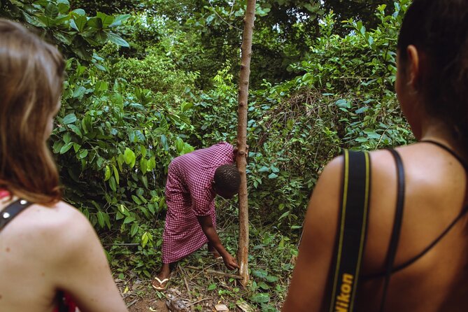 Full Day Trip to Stone Town, Spice Farms and Prison Island - Meeting and Pickup Details