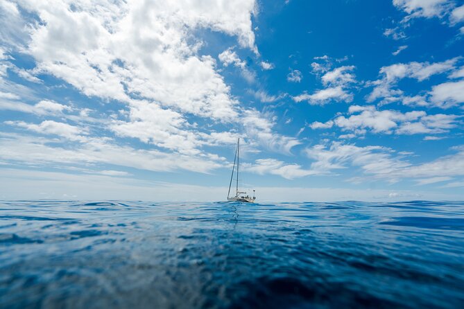 Funchal: Sailboat Cruise Along Madeiras Coastline - Location and Amenities