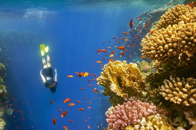 Giftun Island Snorkeling at Hurghada, Red Sea - Tour Details