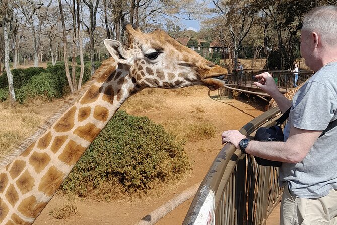 Giraffe Centre and Animal Orphanage Guided Tour In Nairobi. - Pickup Details