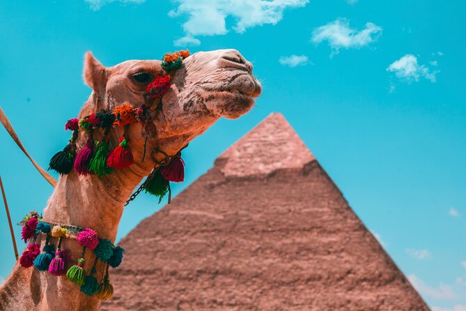 Giza, the National Museum and Khan El Khalili Private Day Tour - Tour Highlights