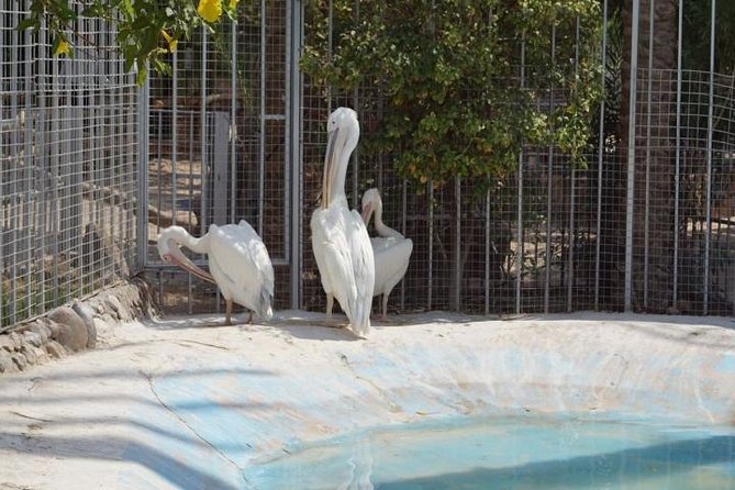 Grand Aquarium Hurghada - Additional Information