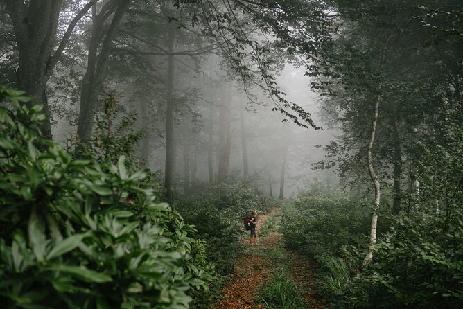 Group Hiking Tour in Mtirala National Park - Reviews
