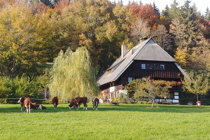 Guided Cider Tasting - What to Expect