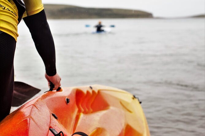 Guided Coastal and Island Hopping - Sea Kayaking in Galway - Additional Details