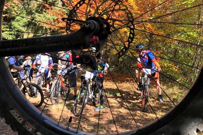 Guided E-Bike Rental Tours - Activity Info