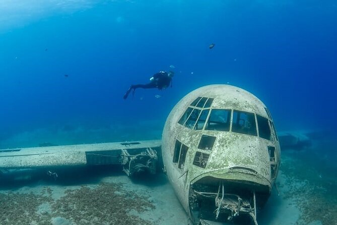 Guided Scuba Diving Adventure in Aqaba - Additional Information and Requirements