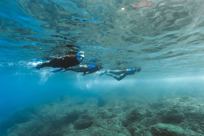 Guided Snorkeling Activity in Papagayo Beach Lanzarote - Meeting Point Directions