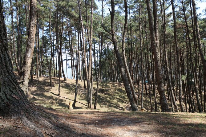 Ha Giang Loop 3 Days From Hanoi by Ha Giang Expeditions - Inclusions and Exclusions