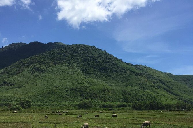 HAI VAN PASS MOTORBIKE TOUR - Top Gear Experience - Customizable Private Tour