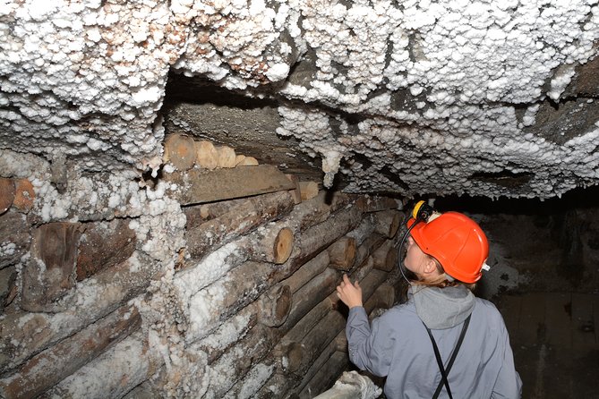 Half-Day Bochnia Salt Mine Private Guided Tour From Krakow - Tour Details