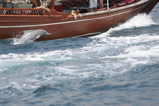Half Day Dolphin Watching Musandam Dhow Cruise - Meeting Point and Start Time
