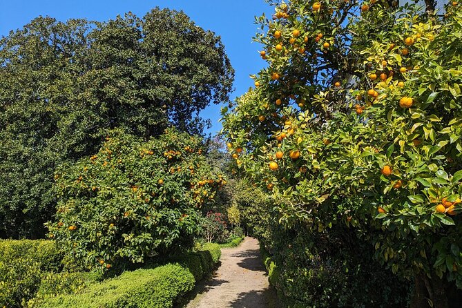 Half-Day Excursion Around Santiago - Frequently Asked Questions