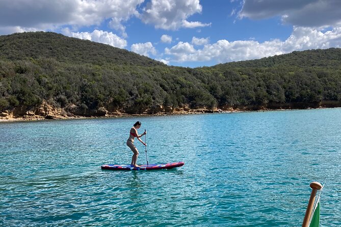 Half Day Private Boat Tour to Cala Violina - What to Expect