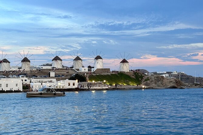 Half-Day Private Cruise With Kaiki Around Mykonos - Activity Inclusions