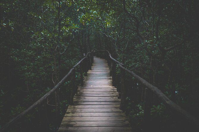Half-Day Private Jozani Chwaka Bay Forest Tour in Zanzibar - Tour Details