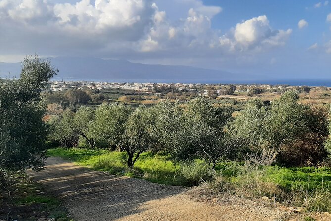 Half Day Shore Excursion in Battle of Crete Greece - Historical Significance