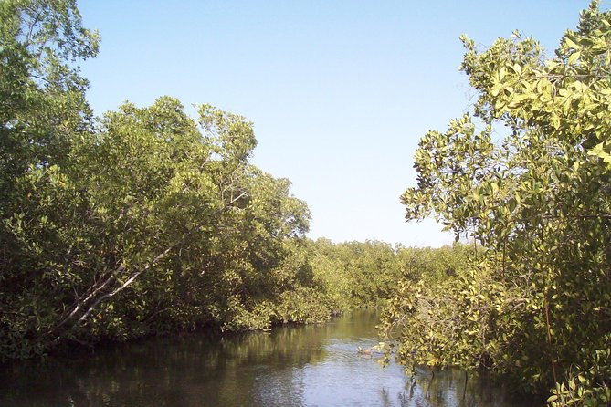 Half-Day Somone Lagoon and Bandia Park Safari From Dakar - Meeting and Pickup Details