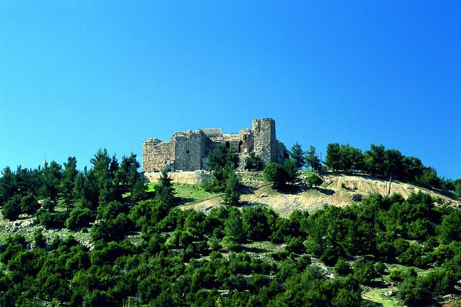 Half Day Tour of Jerash and Ajloun - Reviews