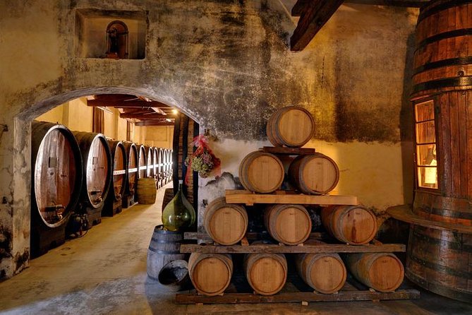 Half Day Venice Cruise Terminal Shore Excursion Wine Food Tasting Outlet Village