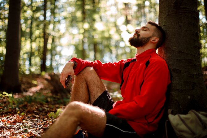 Helsinki Archipelago Forest Bathing Experience - Safety Measures and Guidelines
