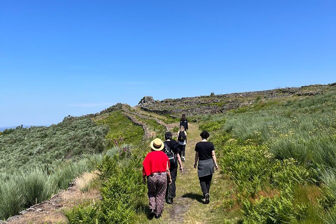 Hike With Meditation at the Top Of The Mountain - Activity Details