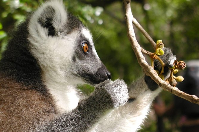 Hiking Tours Madagascar