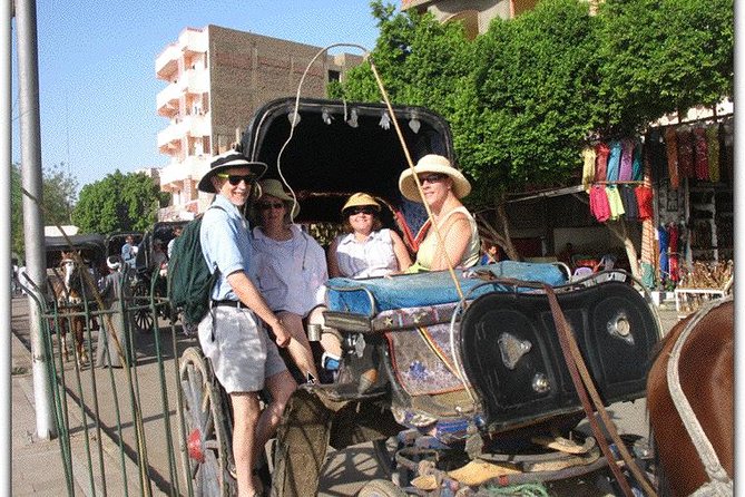 Horse Carriage Ride in Aswan - Discover Aswans Beauty by Night