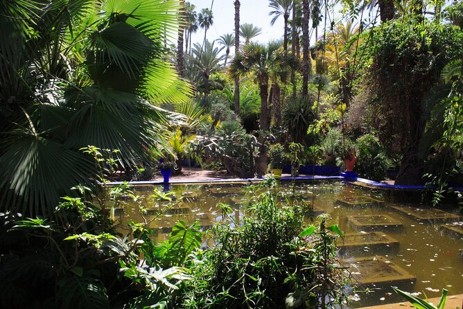 Horse Carriage Ride in Marrakech - Tour Overview