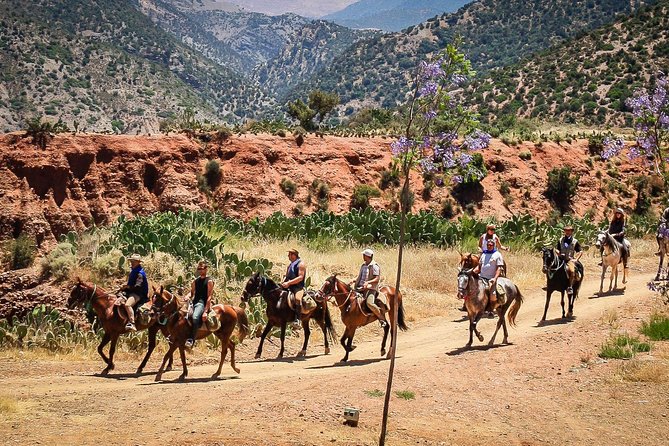 Horse Ride at the Marrakech Desert - Experience Highlights