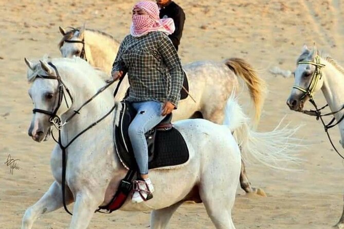 Horse Ride Trip 1 Hour and Bedouin Dinner, Egyptian Show - Sharm El Sheikh - Additional Information for Participants