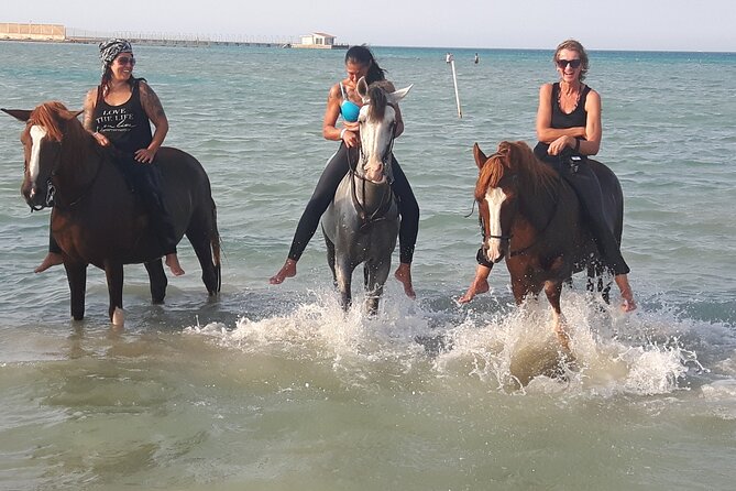 Horse Riding 02 Hours Beach or Desert - Location and Pricing