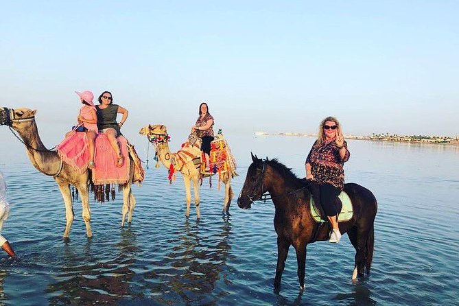 Horse Riding 3 Hours Beach Desert-Hurghada - Activity Details for Horse Riding