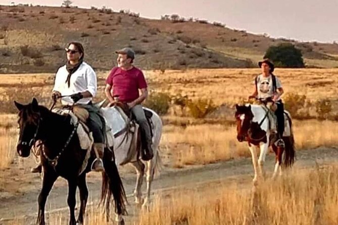 Horse Riding at Lake Side Near Tbilisi With Lunch at Farm to Table Restaurant - Activity Highlights