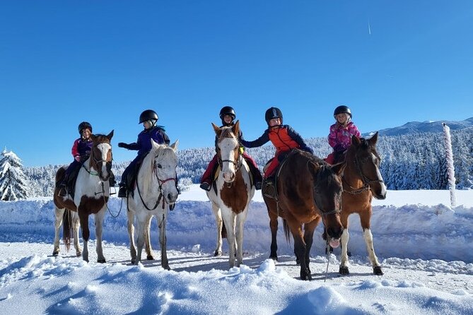 Horse Riding Day Trip in the Rila Mountain - Location and Transportation