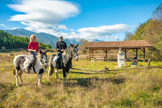 Horse Riding Experience From Bansko - Operator and Group Size