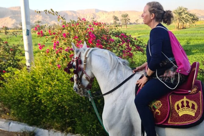 Horse Riding in Luxor VIP - Luxor VIP Horse Riding Experience
