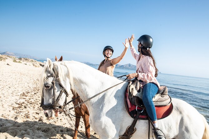 Horse Riding in Mallorca on the Beach