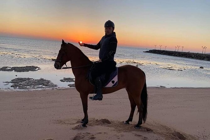 Horse Riding One Hours at Amazing Desert With Transfer - Marsa Alam - Inclusions