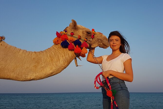 Horseback Or Camel Riding One Hour With Transfer - Sharm El Sheikh - Additional Information
