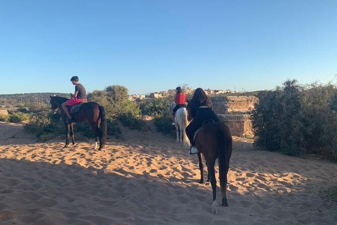 Horseback Riding on Essaouira Beach With Transport