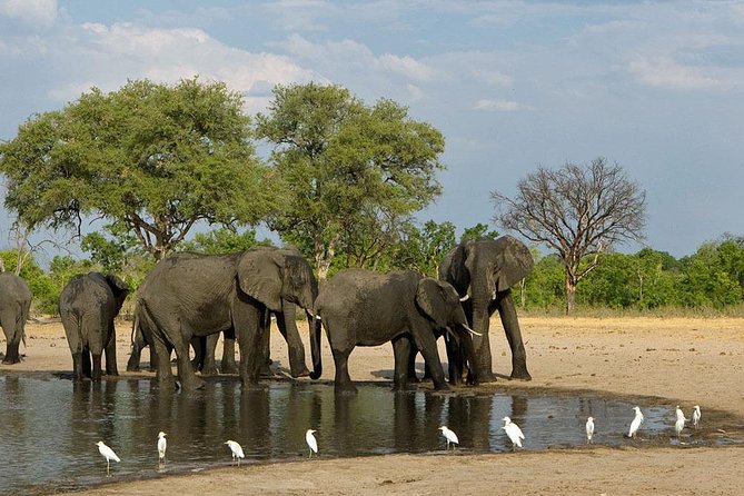 Hwange National Park 3 Days Package - Itinerary Details