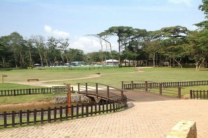 Ibadan City Day Tour - Local Attractions