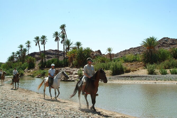In Marrakesch :Horses Ride Experience - Inclusions and Transportation Details
